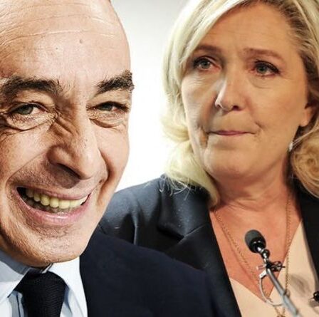 Sondages électoraux en France: tragédie pour Le Pen alors que Macron obtient un nouveau candidat clé