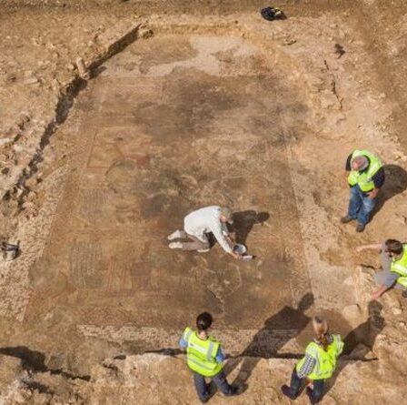 Une percée archéologique en tant que rare mosaïque romaine découverte au Royaume-Uni – « la plus excitante du siècle »