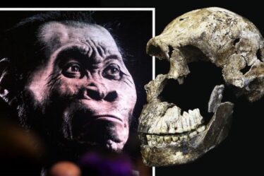 Des archéologues stupéfaits par un humain de 250 000 ans découvert dans une grotte