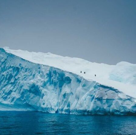 Antarctique : un glacier de la taille du Royaume-Uni s'effondre - le niveau de la mer risque une élévation mondiale dangereuse