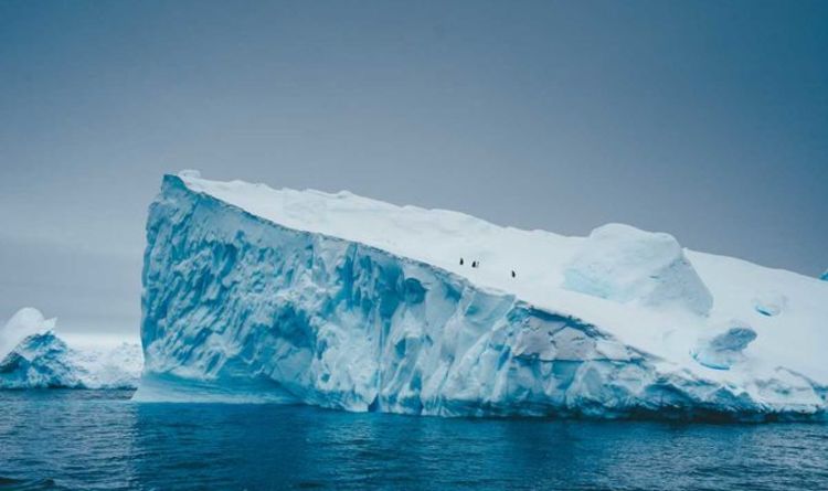 Antarctique : un glacier de la taille du Royaume-Uni s'effondre - le niveau de la mer risque une élévation mondiale dangereuse