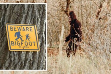 Bigfoot : Quatre des plus grandes affirmations concernant Bigfoot - que savons-nous vraiment ?