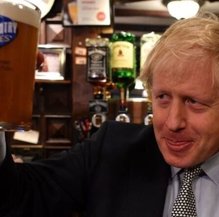 Boris Johnson donne son feu vert pour les fêtes du Nouvel An malgré la pénurie de tests de covid