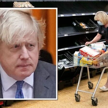 Brexit EN DIRECT : les nouvelles règles de DEMAIN menacent de faire des ravages en Grande-Bretagne