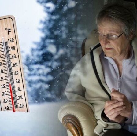 "Cela ne servira à rien de vivre" Un retraité de 75 ans vit dans une seule pièce pour rester au chaud en hiver