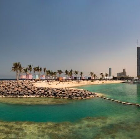 « Connaître les règles » Les expatriés expliquent à quoi ressemble la vie d'un étranger en Arabie saoudite