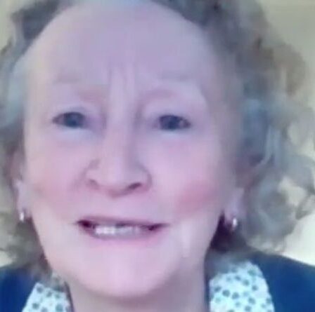 "Des élections générales seraient bien" Un pair vert demande à Boris Johnson de démissionner pour organiser un nouveau vote