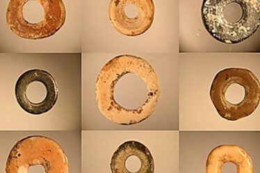 Des perles de coquille d'œuf d'autruche révèlent le plus ancien réseau social du monde