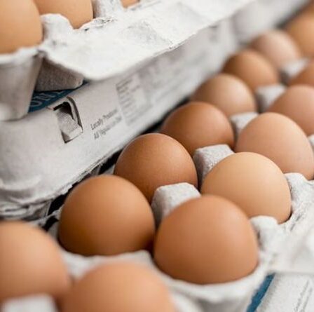 Des producteurs de volaille attaqués par des écologistes pour des "rivières polluantes"