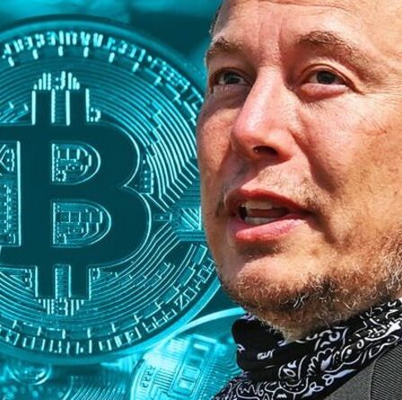 Elon Musk affirme qu'il connaît la véritable identité du créateur de Bitcoin Satoshi Nakamoto