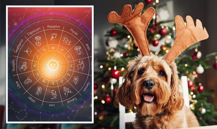 Horoscope : Le « parfait animal de compagnie » basé sur le zodiaque – le plus « amusant et gentil » de la Vierge