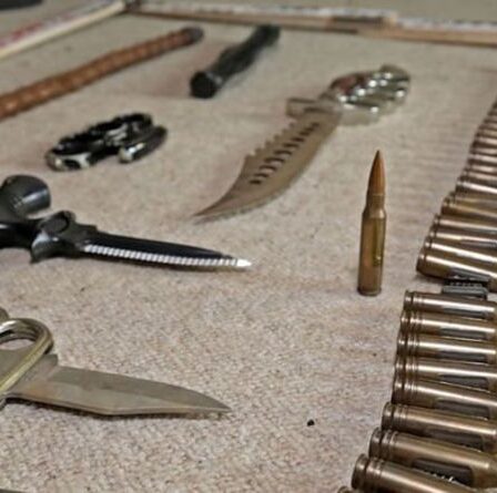 La police allemande découvre l'autel et l'arsenal d'armes d'Hitler dans la maison d'un néo-nazi ivre