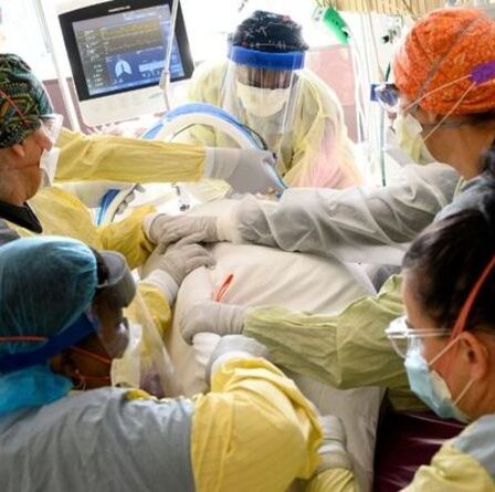 Le nombre de morts du COVID-19 aux États-Unis dépasse les 800 000 au milieu de la nouvelle menace Omicron - "Nous sommes au-delà de l'engourdissement"