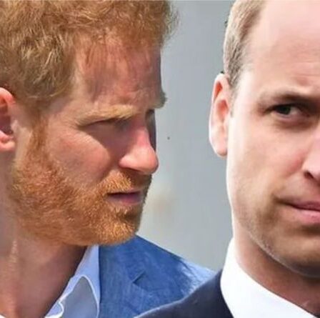 Le prince Harry et le prince William "ne sont pas liés" par une faille - "Je viens de bouger dans une direction différente"