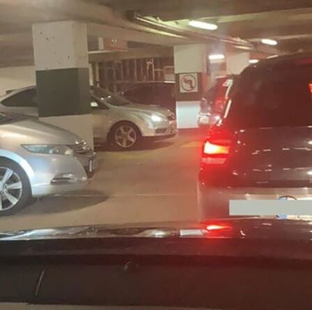 Les acheteurs de Noël abandonnent leurs véhicules en raison du chaos sur le parking