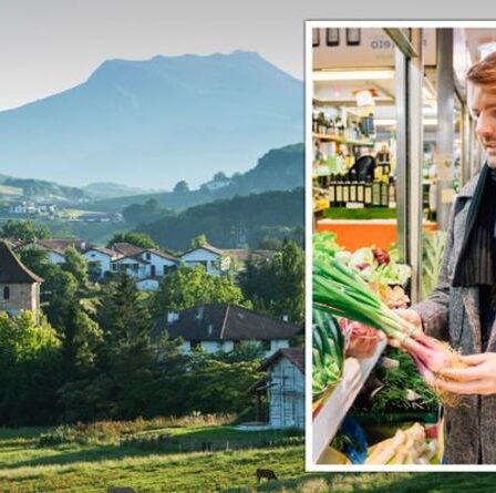 Les expatriés britanniques en France essaient d'éviter les autres expatriés «comme la peste» - où vivre