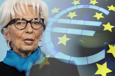 L'euro présenté comme un « tremplin vers un État unique » après les commentaires de la refonte de Christine Lagarde
