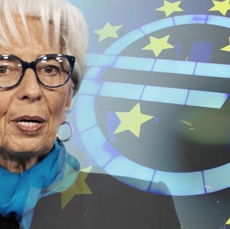 L'euro présenté comme un « tremplin vers un État unique » après les commentaires de la refonte de Christine Lagarde
