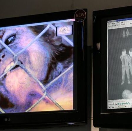 Une épidémie de variole du singe déclarée comme une maladie terrifiante met l'Afrique en état d'alerte