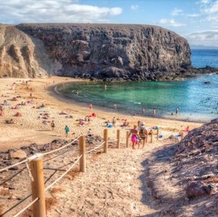 Vacances en Espagne: les îles Canaries appellent à un couloir de voyage pour sauver le Noël des Britanniques