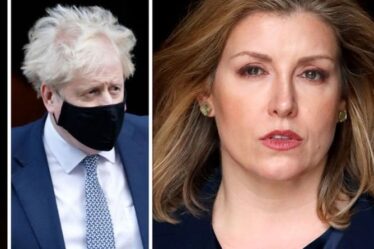 Boris au bord du gouffre: Penny Mordaunt, le "cheval noir", est envisagée comme prochain Premier ministre