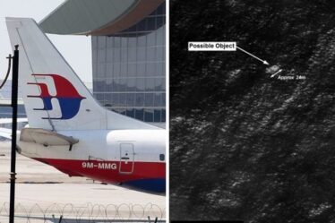 Le MH370 "sera retrouvé", mais pourrait être "remarquablement inchangé"