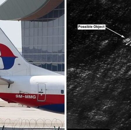 Le MH370 "sera retrouvé", mais pourrait être "remarquablement inchangé"