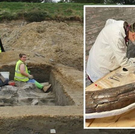 Percée archéologique avec la découverte de cinq mammouths sur l'ancienne route de la Tamise