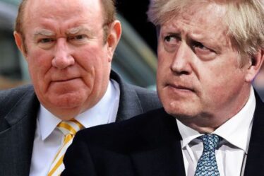 Andrew Neil disséquera Boris Johnson dans un documentaire sur les verrues et tout et fera pression sur le Premier ministre