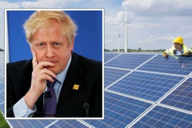 Boris a critiqué la stratégie zéro net « à tarte dans le ciel » alors que le Royaume-Uni fait face à des poursuites judiciaires pour des plans