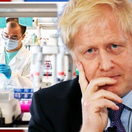 Covid LIVE: pic d'horreur dans le nombre de décès alors que des scientifiques britanniques publient une mise à jour « Deltacron »