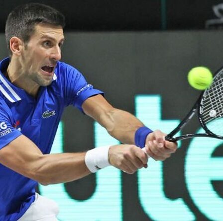 L'Open d'Australie en «alerte rouge» avec la crainte que la saga de Novak Djokovic ne déclenche la violence de la foule