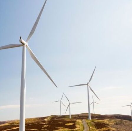 L'éolienne privée de Windy Pete fournit de l'électricité bon marché aux voisins