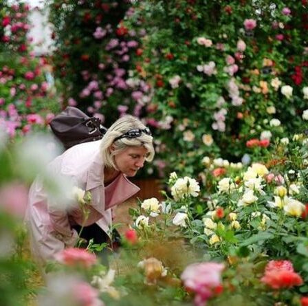 Les concepteurs du Chelsea Flower Show sont invités à « ramener la nature » avec des jardins respectueux de l'environnement