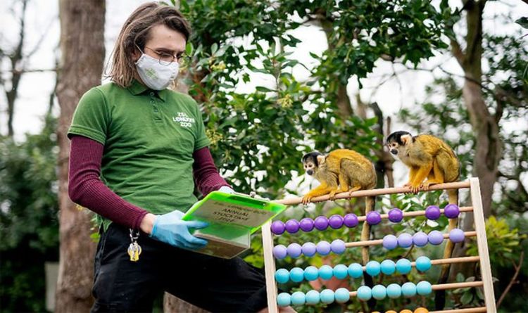 Les gardiens du zoo ZSL de Londres comptent les animaux un par un lors de l'inventaire annuel
