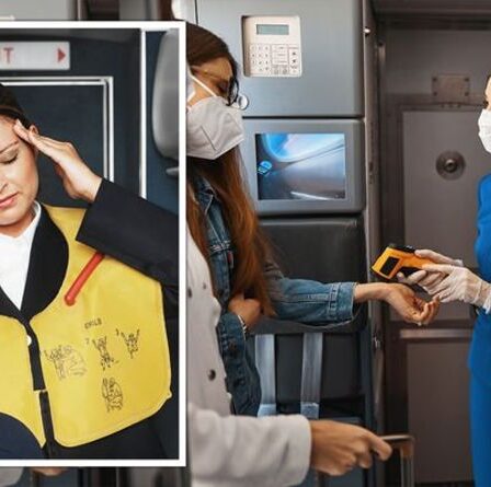 L'hôtesse de l'air partage le mensonge le plus courant raconté aux passagers - "nous devons vous le dire"