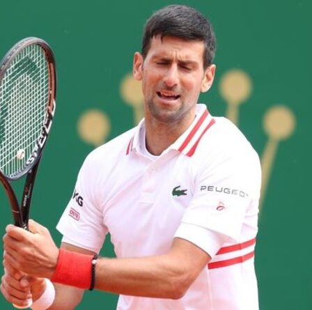'NoVax' Djokovic devient la cible de mèmes moqueurs après la saga de la déportation