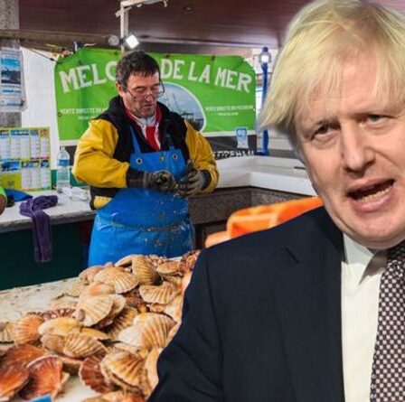 "Perdre la volonté de pêcher" Un pêcheur lance un appel désespéré à Boris pour aider l'industrie