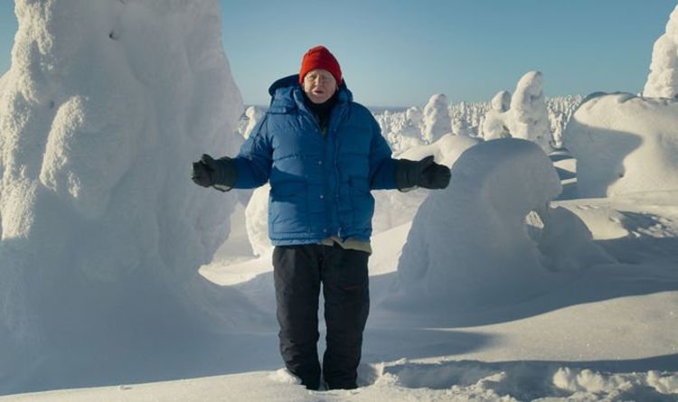 Sir David Attenborough danse comme un pingouin dans la neige arctique à -18 degrés