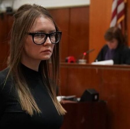 Anna Sorokin: Comment la fille d'un humble chauffeur de camion a escroqué une fortune aux riches