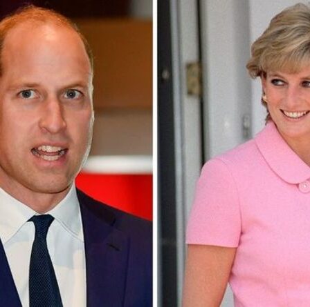 Le prince William a dit à une princesse Diana "en larmes" de quitter le Royaume-Uni