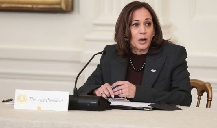 'Catastrophe!'  Kamala Harris fustigé dans un tweet féroce alors que Biden « joue à la politique identitaire »