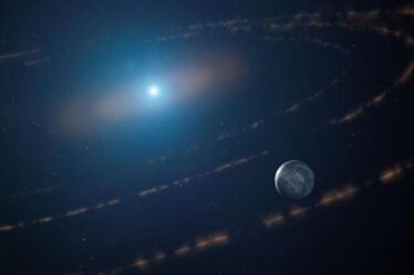 'Étrange!'  Un astronome révèle une «étoile habitable» découverte dans une extraordinaire percée spatiale