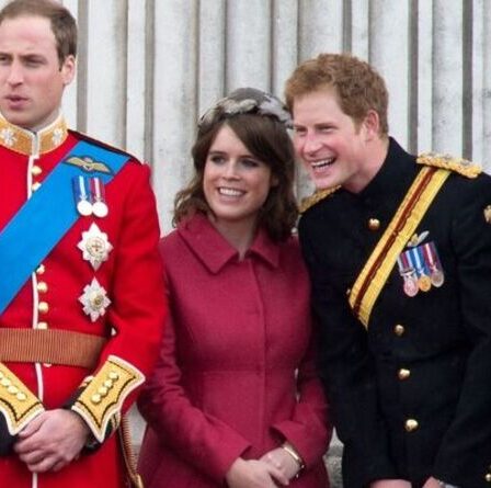 Eugénie et Harry "se sont à nouveau liés" alors que la princesse traite l'affaire d'abus sexuels d'Andrew - nouvelles allégations