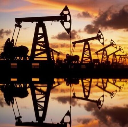 Flambée des prix du pétrole : les prix de l'essence "qui mettent l'eau aux yeux" atteignent de "nouveaux sommets effrayants", prévient le RAC