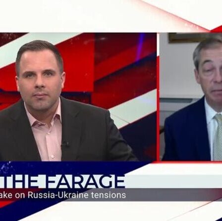 GB News : Nigel Farage prévient que Poutine a "exposé les divisions" entre l'UE et l'OTAN