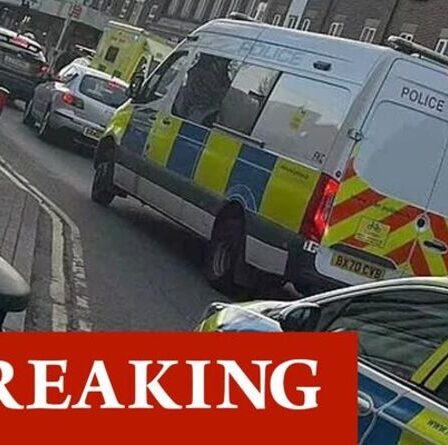 Horreur alors qu'un garçon de 14 ans est transporté par avion à l'hôpital après avoir poignardé en plein jour à Londres