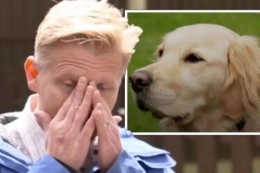 "Je ne serais pas là sans lui" Le Dr Scott en larmes alors que le propriétaire du chien explique comment Milo l'a "sauvé"