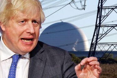 La révolution verte de Boris Johnson s'effondre car le nucléaire "coûteux et non viable"