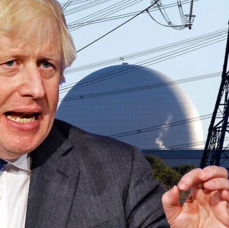 La révolution verte de Boris Johnson s'effondre car le nucléaire "coûteux et non viable"